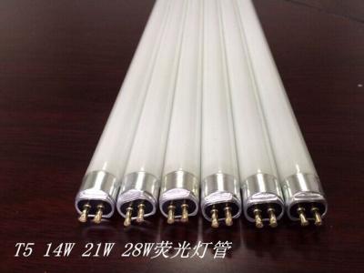 China T5 14W 21W 28W fluorescent tube lamp for sale