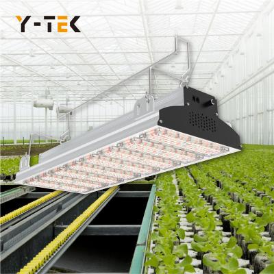 China Seed Starting Samsung LM 301B Vertical Greenhouse Farm Automatic Lighting Controller Grow Light 1000W Led for sale