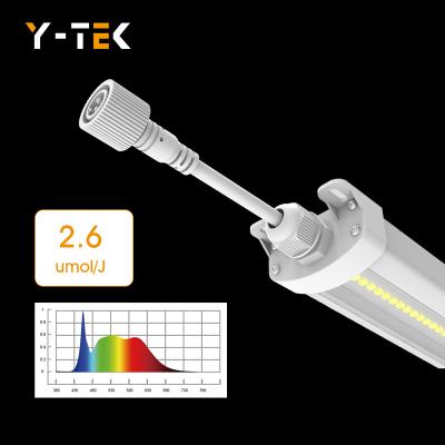 China Seed Seed Plant Waterproof Y-Tek 50w ip65 5000K 6500K Full Spectrum Led Grow Light Tube Garland Light Bar For VEG 50w Vegetal for sale