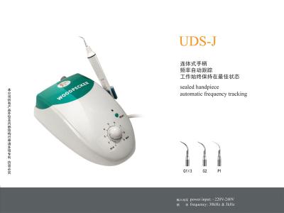 Chine Écailleur ultrasonique dentaire UDS-J avec Handpiece scellé, utilisation pour le nettoyage de dent, nettoyage dentaire dans la clinique dentaire à vendre