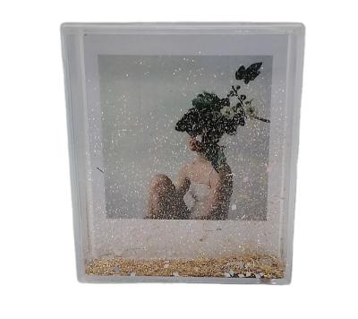 China Instax Plastic Funny High Quality Square Glitter Flip Floater Liquid Snowglobe Collection for sale