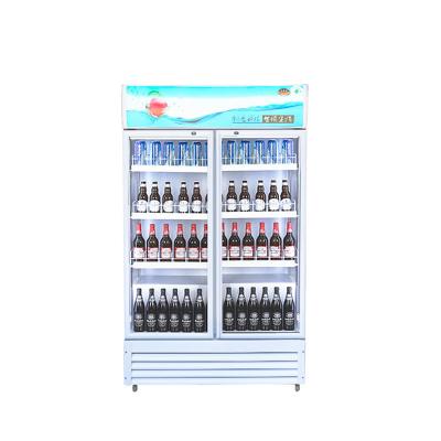 China Hot Selling Competitive Price Single-Temperature Commercial Double Freezer Glass Door Vertical Cooler Display Display Direct-Cooling Refrigerator for sale