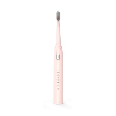 China Low Price USB Rechargeable Tooth Electric Brush Electric Toothbrush Private Label Ultrasonic Toothbrush for sale