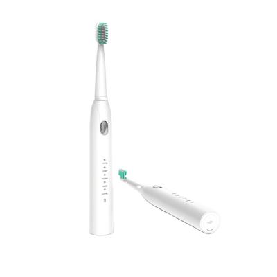 China Wholesale USB Rechargeable Toothbrush Whitening Electronic Toothbrush for sale