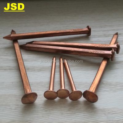 China Flat Head Brass Nail/Copper Phosphor Bronze Nail Square Nail/Bronze Leg Boat Nail for sale