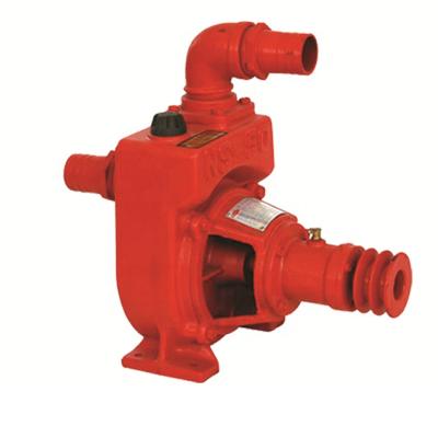 China Drinking Water Treatment 2inch 3inch 4inch NS 50 NS 80 NS 100 Agricultural Self Priming Irrigation Pumps For Philippines Customer for sale