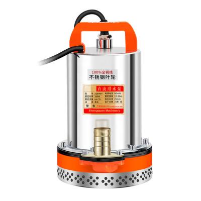 China High quality agricultural mini drinking water treatment 12v 24v irrigation stainless steel electric submersible pump for sale