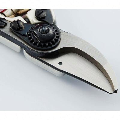 China Professional Garden Pruning Shears Pruning Rotating Garden Tool for sale