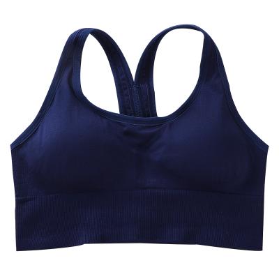 China QUICK DRY Padded Seamless Brallete Packs Bralettes Bras Seamless Tube Top Padded Women Bralette Crop Top Camis Tank Top Sports Bra Women for sale