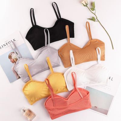 China QUICK DRY Manufacturers Direct Sales Most Popular Fit-Straps Chest Sports Seamless Wrapped Chest Girl Vest Bra Women Tube Top for sale