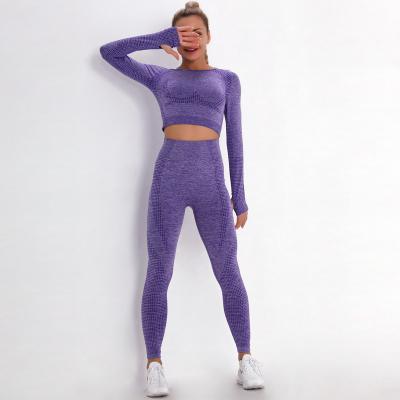 China Breathable 2 Piece Active Wear Fitness Seamless Yoga Fits Gym Yoga Long Sleeves High Waisted Gaiters Tummy Control Running Pants for sale