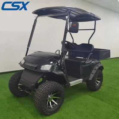 China Factory price 2 person club car electric golf cart for sale vacuum radial tire 205/50-10 for sale