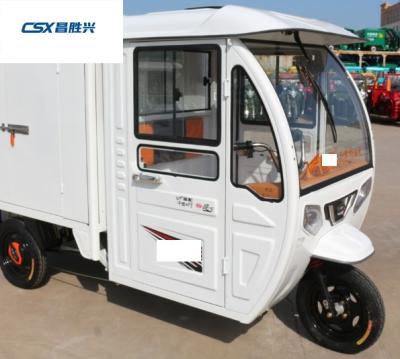 China Cargo Brand Full Grade Enclosed Electric Trike Cargo Tricycles For Electric Delivery 3 Wheeler for sale