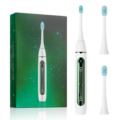 China Teeth Whitening Ray Popular Beautiful Wireless Charging Cold Blue Ultrasonic Electric Toothbrush for sale