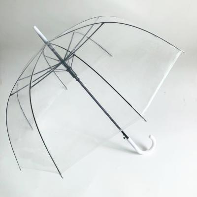 China POE Eight Bone Umbrella Promotion Mini Hot Minimalist Umbrella Household Transparent Selling Umbrella for sale