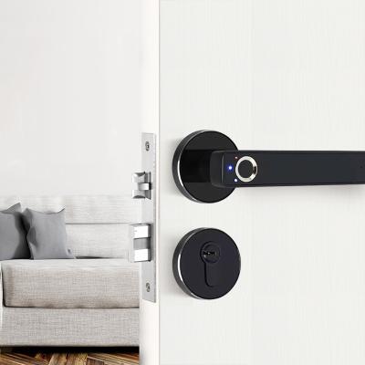 China Remote Smart Passcode Small Mini Fingerprint Door Handle Lock Electronic Contrl Digital Door Lock Biometric Home Wood for sale