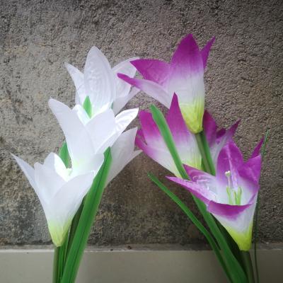 China Hot Selling Solar Powered Lily Flower Color Changing Solar LED Light, 2 or 3Packed Colors Garden Stock for sale