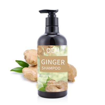 China Loss Prevention Custom Sulfate Free Hair Natural Vegan Natural Organic Ginger Shampoo Anti Hair Loss Shampoo and Conditioner for sale