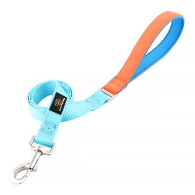 China DETACHED Custom Mix Colors Single Handle Nylon Dog Pet Leashes With Metal Buckle for sale