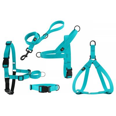 China 2021 Pet Products PVC DETACHED Collar Leash Harness Set Easy For Walking Training for sale