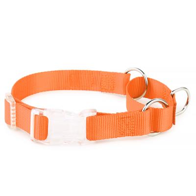 China 2021 Newest Dog Accessories Bark Collar Stocked Buckle Martingale Transparent Collar For Dog Training for sale