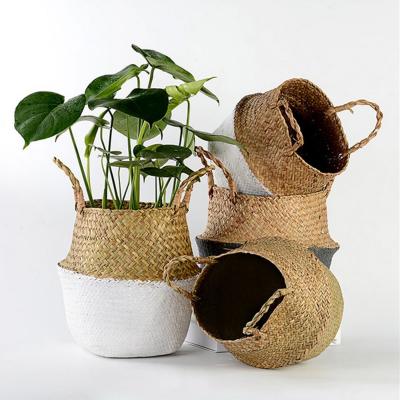 China Eco-Friendly Recommend Plants Organization Flower Pots Planters Hotel Eco Garden for sale