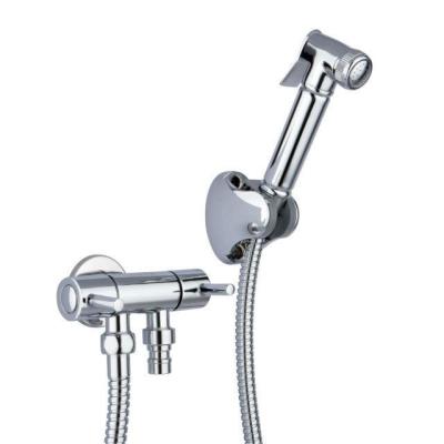 中国 Ceramic Cartridge Cold Water Taps With Bidet Shower, One Hole in Wall Mounted 販売のため