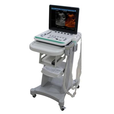 China SS-9 Function 3D Color Doppler Ultrasound Scanner Machine Portable Linear Convex Linear Transvaginal Probe for sale