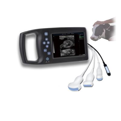 China Veterinary Portable Therapy Unit Support Palm Size Ultrasound Machine Sheep Pregnancy Testing Sonar Machine for sale