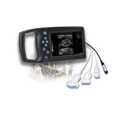 China Support Veterinary Ultrasound Machine Equine Ultrasound Scanner Hand Type Good Quality for sale