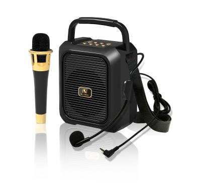 China Best wireless handheld wireless microphone and PA YS-29 head carry MIC for record/USB/TF/BT option for sale