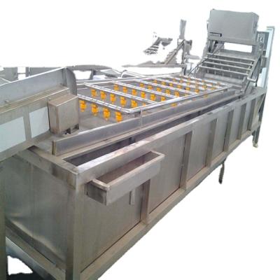 China Snack Factory Industrial Hongtuo Fruit Washing And Drying Machine for sale