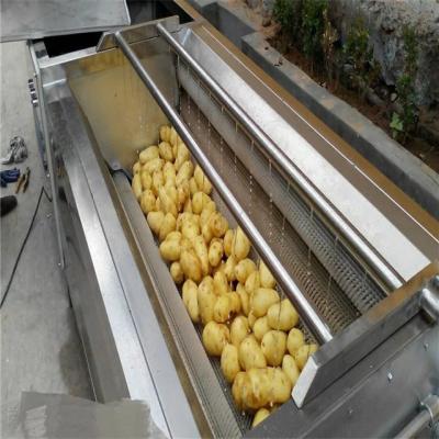 China Heat Resistant Hot Selling Potato Banana Orange Vegetable Fruit Vegetable Cleaning Machine Industrial Fruit Gasket for sale