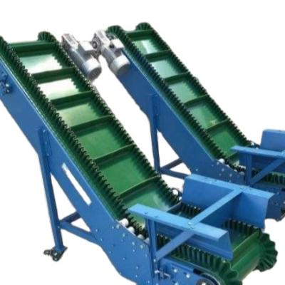 China Heat Resistant Hot Sales Sorter Vegetable Conveyor Belt Parts for sale