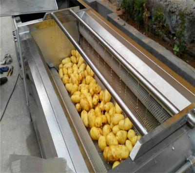 China Heat Resistant Custom Industrial Shrimp Washing Factory Conveyor Vegetable Washing Machine for sale