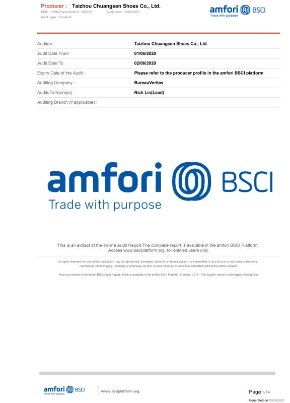 BSCI - Shanghai Tyconn International Trade Co., Ltd.