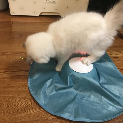 China Viable Pet Cat Electric Rotating Butterfly Electric Cat Teaser Toy for sale