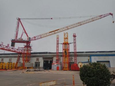 中国 16tons 60m jib luffing tower crane for sale 6tons/8tons inner climbing type 販売のため