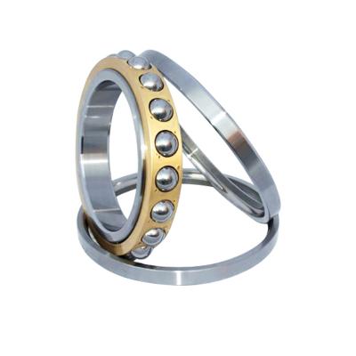 China Hot Selling Long Life 7202AC Bearing High Precision Bearing High Quality Angular Contact Ball Bearing for sale