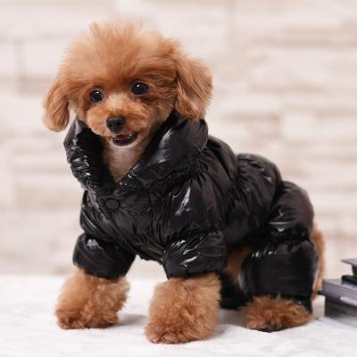 China Sports Winter Dog Clothes Small Top Pet Down Jackets Dog Clothes for sale