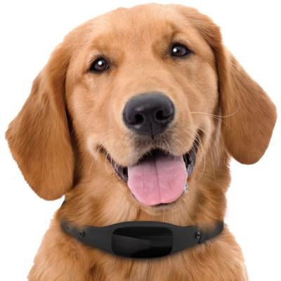 China 2021 Viable Hot Sale Pet GPS Collar Tracker For Cat Dog And Dog Tracker for sale