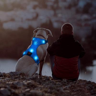 China Harness Light Up Dog Harness USB Rechargeable Reflective Dog Invest No Pull Led Dog Harness Comfortable Padded Suit For Small/Med for sale