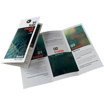 China paper & Custom Cardboard Offset Printed Flyer Flyer Printing , Custom Catalog Folder Printing for sale