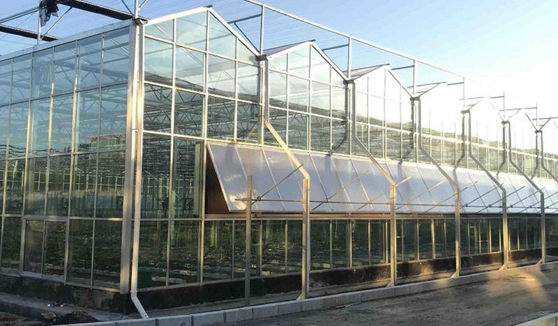 Verified China supplier - Qingzhou Hanyang Greenhouse Project Co., Ltd.