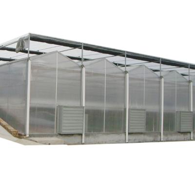 China Multi-Span Strawberry Greenhouse Commercial Pc Greenhouse Polycarbonate Greenhouse For Sale for sale