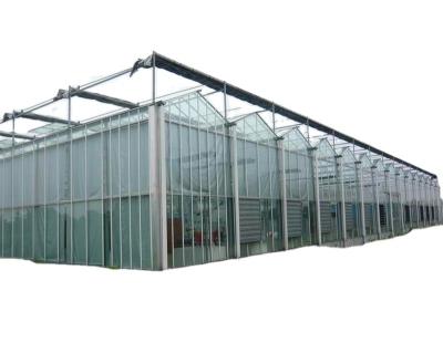 China low cost Polycarbonate green house/venlo Polycarbonate greenhouse for sale