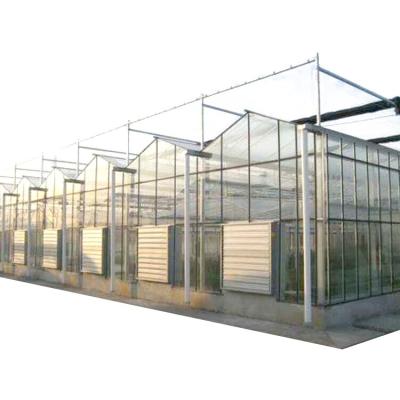 China polycarbonate greenhouse with hydroponic/commercial greenhouse for sale