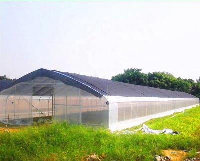 China Plastic Film greenhouse and plastic tunnel arch greenhouse for tomato greenhouse with cheap price for sale