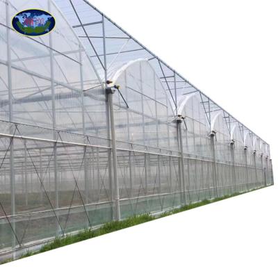 China Modern Agricultural Green House Multi-Span Arched Plastic Film Greenhouse Climate Control Greenhouse for sale