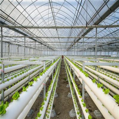 China Multi-Span Agricultural Greenhouse Plastic Film Greenhouse With Vegetables/Flowers Growing System for sale